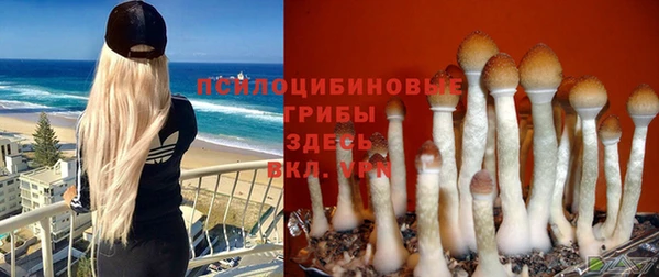 кокс Липки