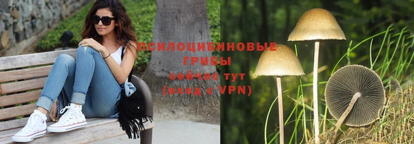 соль ск Лиски