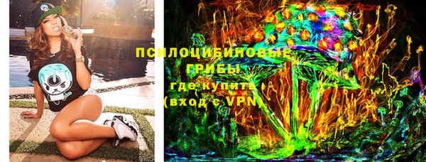 соль ск Лиски